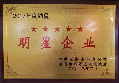 2017年度环翠区纳税明星企业