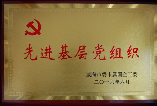 2016年先进基层党组织