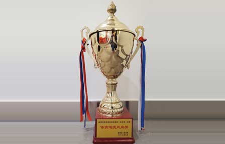2017年威海市第五届运动会篮球比赛体育道德风尚奖