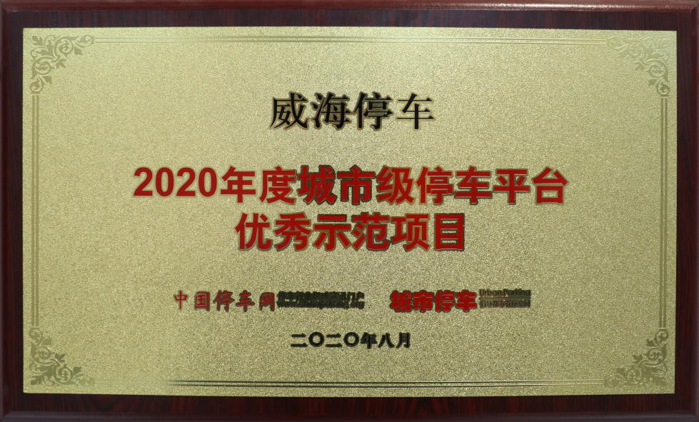 2020年度城市级停车平台优秀示范项目