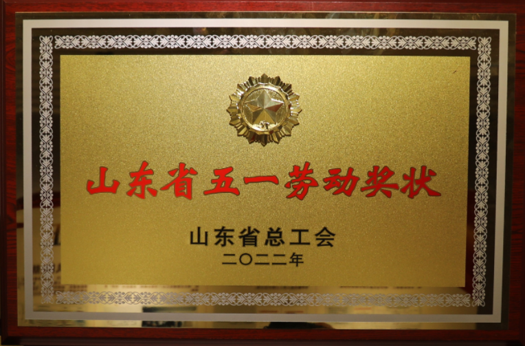 2022年山东省劳动模范奖状